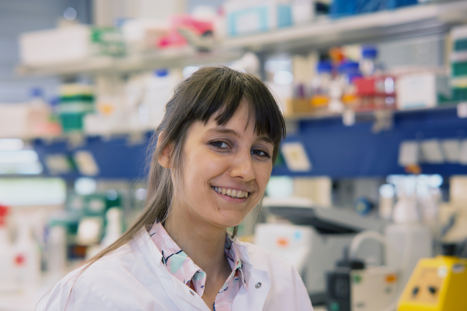 Microbes & Immunity – Weigelworld